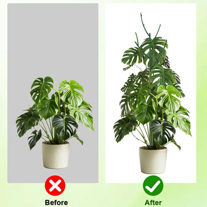 Stackable Monstera Plant Support Stakes — 6 Piece Set