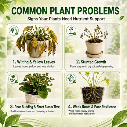 Official US Store LOVILDS® Plant Nutrient Essence