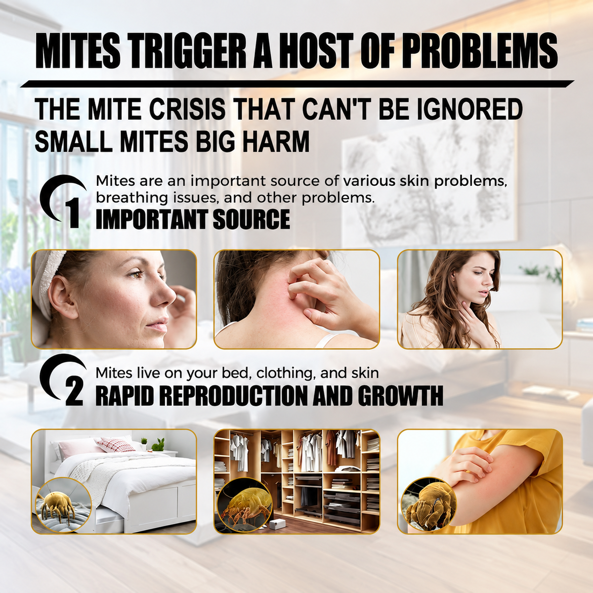 🔥HOT SALE🔥Natural Mite Control Sachet