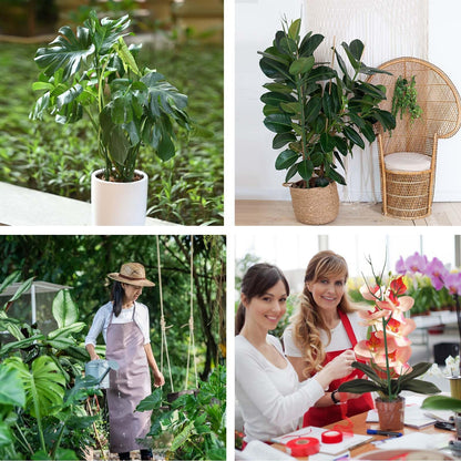 Stackable Monstera Plant Support Stakes — 6 Piece Set